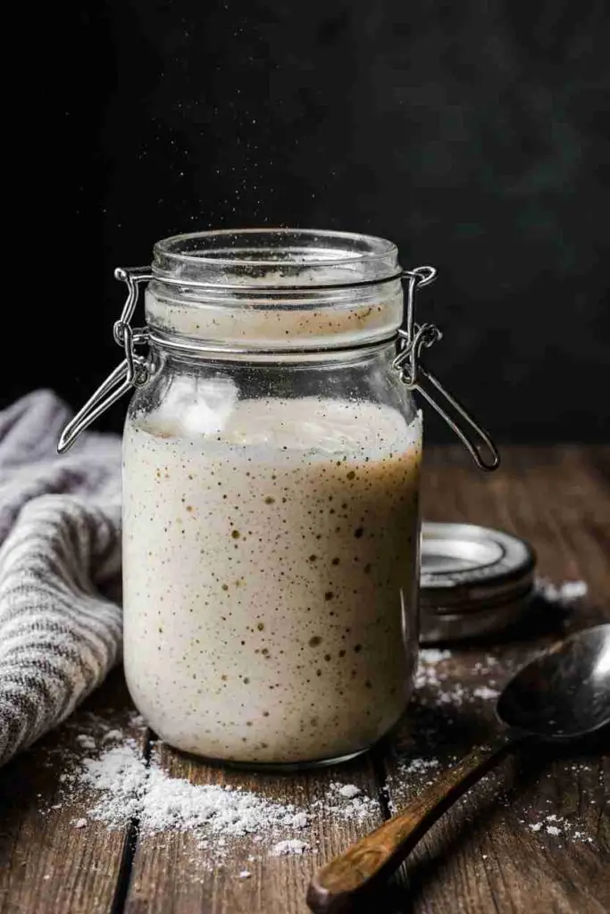 Fridge Storage Amish Starter Recipe