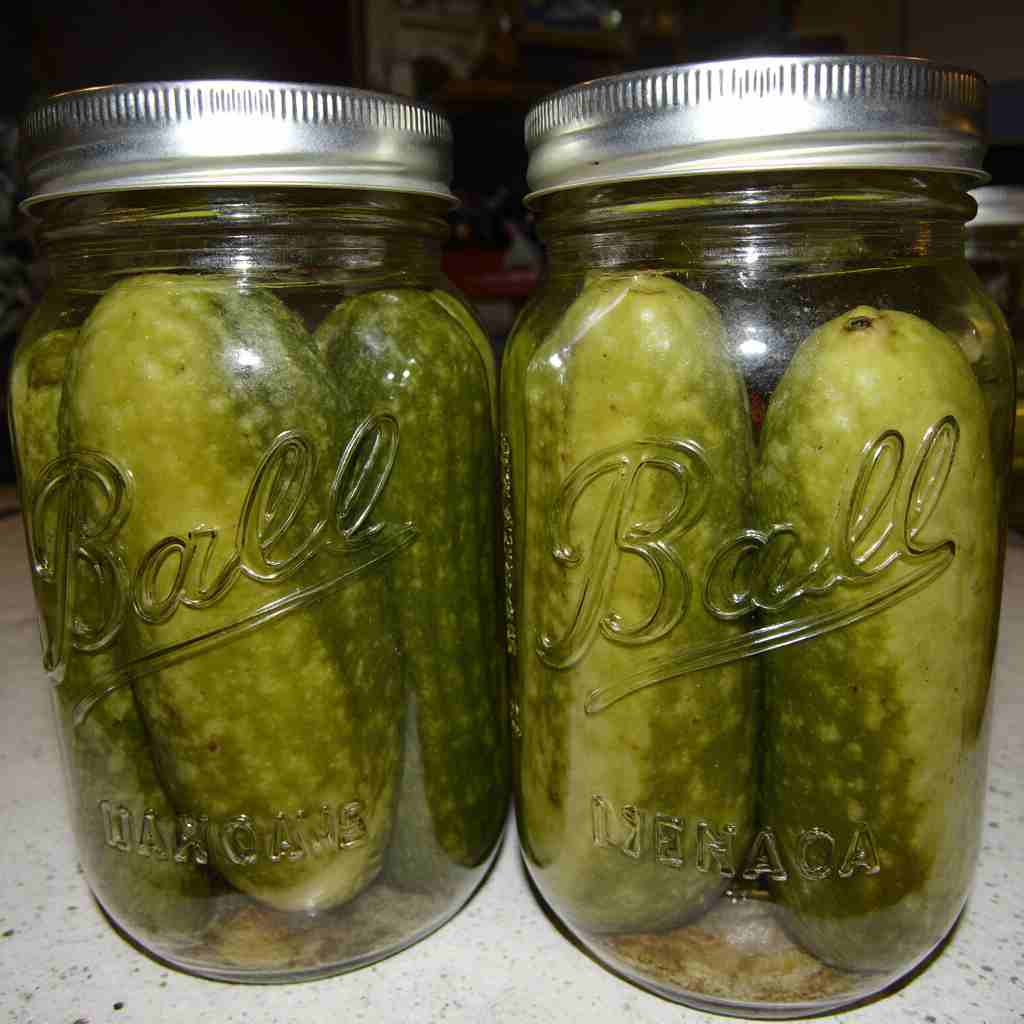 Canning Dill Pickles
